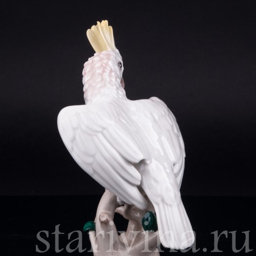 Фарфоровая статуэтка птицы Попугай какаду, Augarten, Австрия, сер. 20 в.