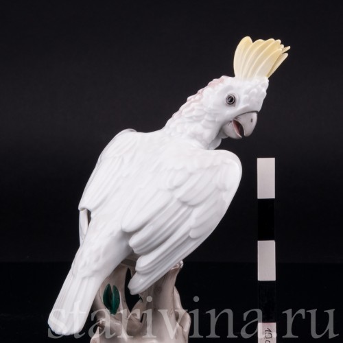 Фарфоровая статуэтка птицы Попугай какаду, Augarten, Австрия, сер. 20 в.