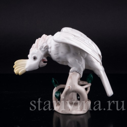 Попугай какаду, Augarten, Австрия, сер. 20 в