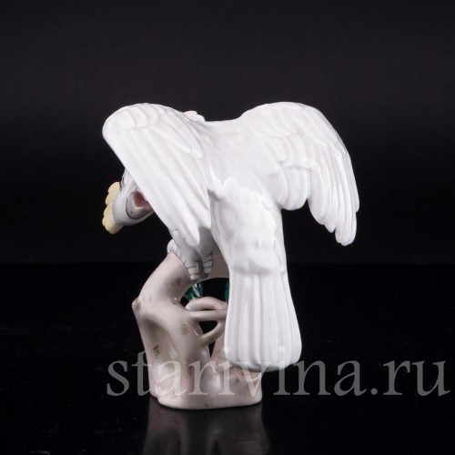 Попугай какаду, Augarten, Австрия, сер. 20 в