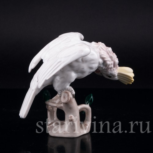 Попугай какаду, Augarten, Австрия, сер. 20 в