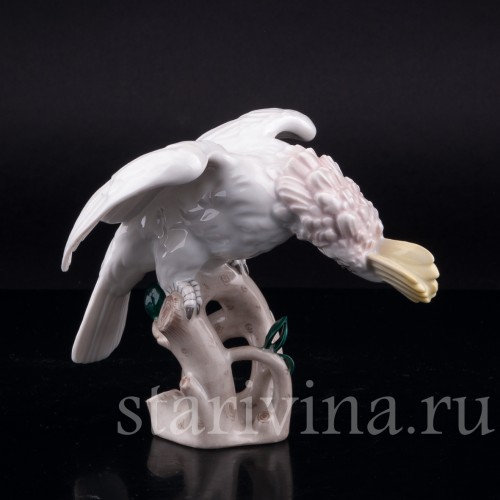 Попугай какаду, Augarten, Австрия, сер. 20 в