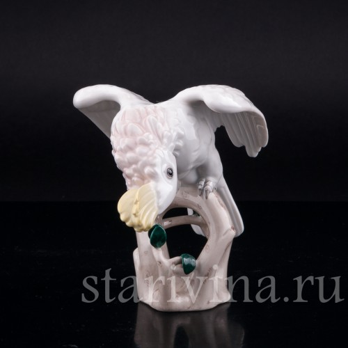 Попугай какаду, Augarten, Австрия, сер. 20 в