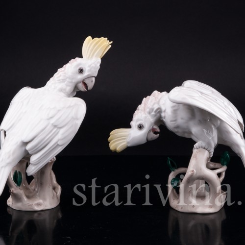 Попугай какаду, Augarten, Австрия, сер. 20 в