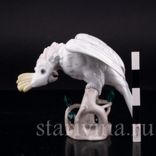 Попугай какаду, Augarten, Австрия, сер. 20 в