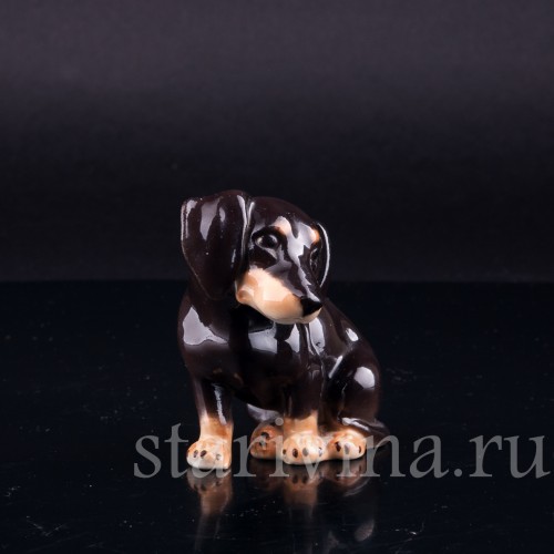 Фарфоровая статуэтка собак Сидящая такса, миниатюра, Von Schierholz, Германия, 1950 гг.