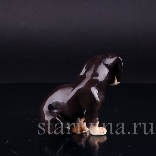 Фарфоровая статуэтка собак Сидящая такса, миниатюра, Von Schierholz, Германия, 1950 гг.