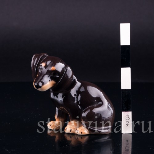 Фарфоровая статуэтка собак Сидящая такса, миниатюра, Von Schierholz, Германия, 1950 гг.