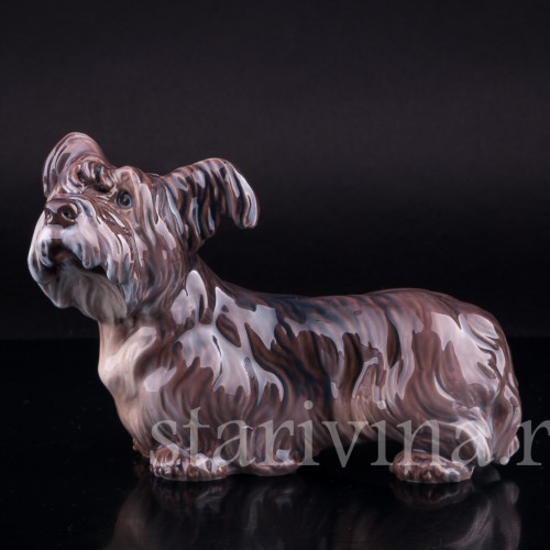 Скайтерьер, Dahl Jensen, Дания