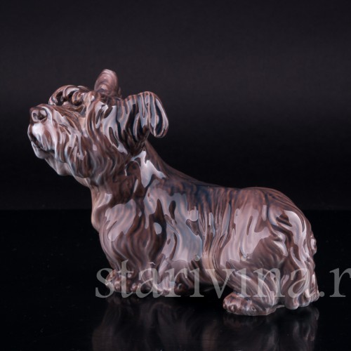 Скайтерьер, Dahl Jensen, Дания