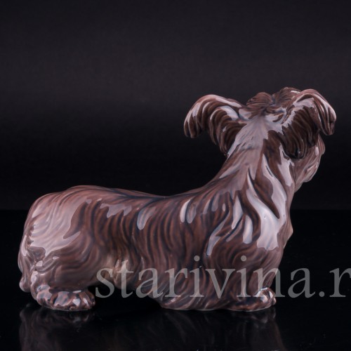 Скайтерьер, Dahl Jensen, Дания