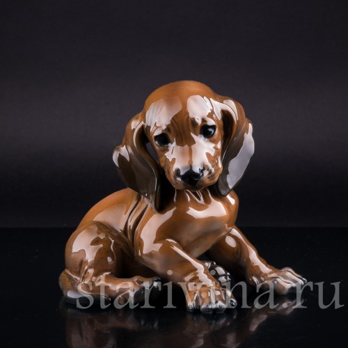Щенок таксы, Rosenthal, Германия, 1960 гг