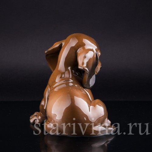 Щенок таксы, Rosenthal, Германия, 1960 гг