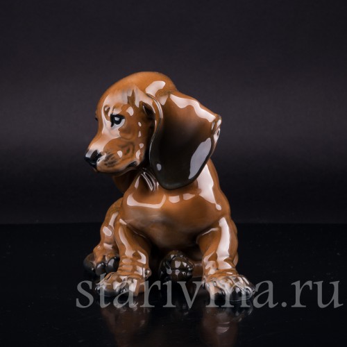Щенок таксы, Rosenthal, Германия, 1960 гг