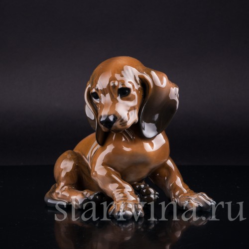 Щенок таксы, Rosenthal, Германия, 1960 гг