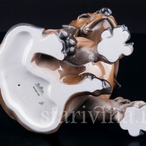 Щенок таксы, Rosenthal, Германия, 1960 гг