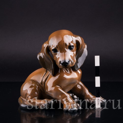 Щенок таксы, Rosenthal, Германия, 1960 гг