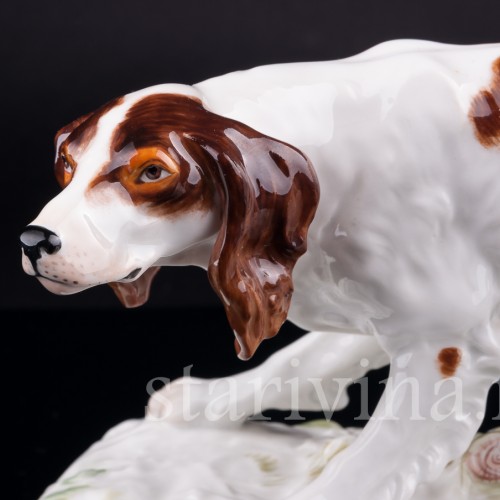 Сеттер, Meissen, Германия, 1963 г