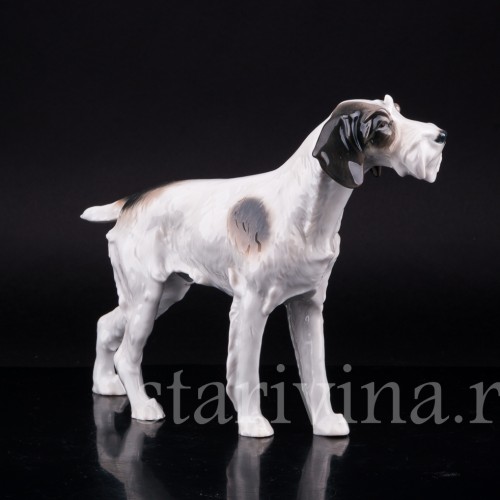 Собака, Metzler & Ortloff, Германия, пер. пол. 20 в