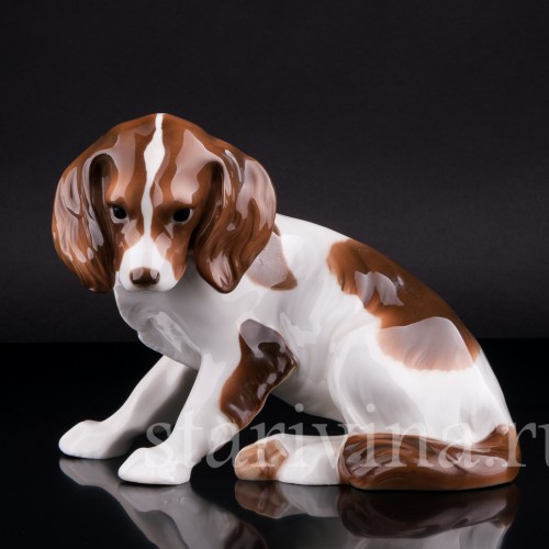 Кинг-чарльз-спаниель (английский спаниель), Hutschenreuther, Германия, 1920-30 гг