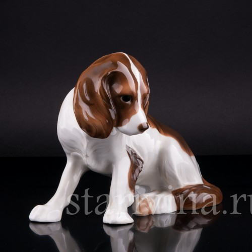 Кинг-чарльз-спаниель (английский спаниель), Hutschenreuther, Германия, 1920-30 гг