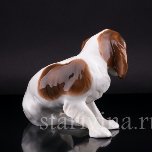 Кинг-чарльз-спаниель (английский спаниель), Hutschenreuther, Германия, 1920-30 гг