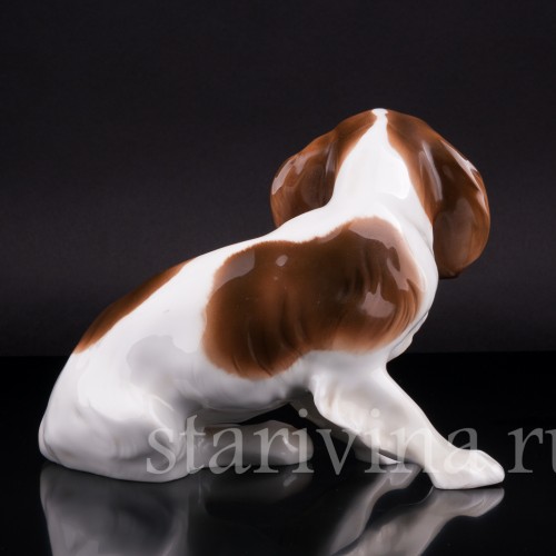 Кинг-чарльз-спаниель (английский спаниель), Hutschenreuther, Германия, 1920-30 гг