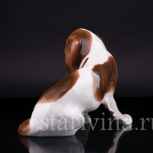 Кинг-чарльз-спаниель (английский спаниель), Hutschenreuther, Германия, 1920-30 гг