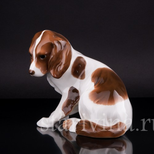 Кинг-чарльз-спаниель (английский спаниель), Hutschenreuther, Германия, 1920-30 гг