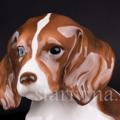 Кинг-чарльз-спаниель (английский спаниель), Hutschenreuther, Германия, 1920-30 гг