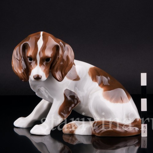 Кинг-чарльз-спаниель (английский спаниель), Hutschenreuther, Германия, 1920-30 гг