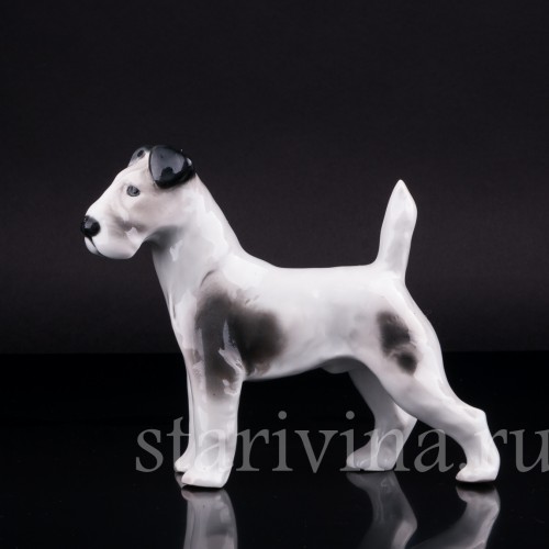 Фокстерьер, Pfeffer, Германия, 1930-40 гг