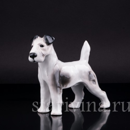 Фокстерьер, Pfeffer, Германия, 1930-40 гг