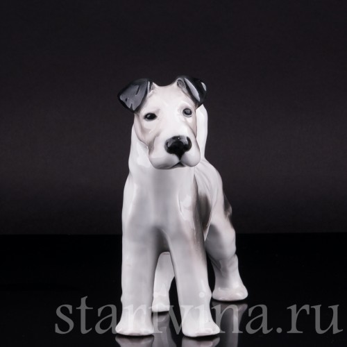 Фокстерьер, Pfeffer, Германия, 1930-40 гг