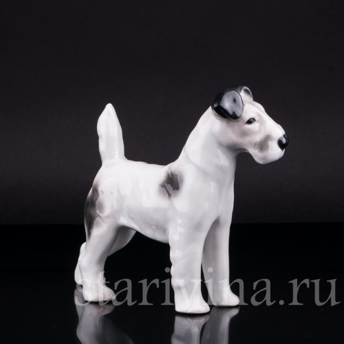 Фокстерьер, Pfeffer, Германия, 1930-40 гг