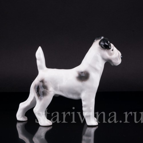 Фокстерьер, Pfeffer, Германия, 1930-40 гг