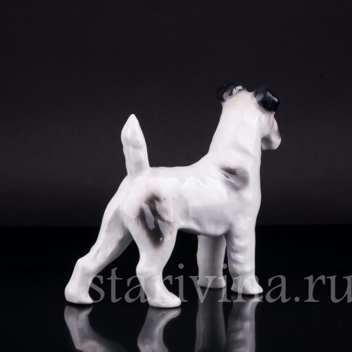 Фокстерьер, Pfeffer, Германия, 1930-40 гг