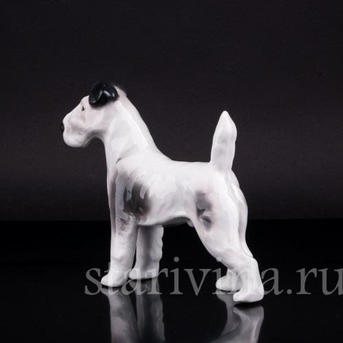 Фокстерьер, Pfeffer, Германия, 1930-40 гг