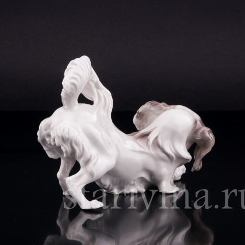 Японский хин, Nymphenburg, Германия