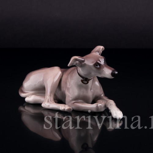 Левретка, Nymphenburg, Германия