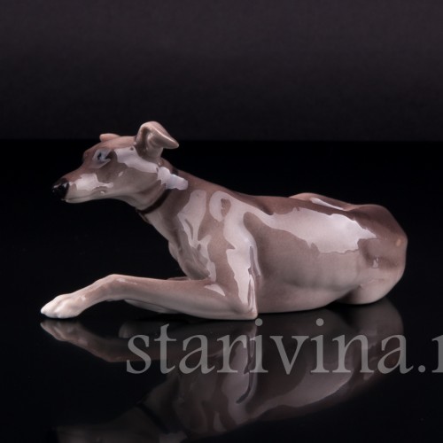 Левретка, Nymphenburg, Германия