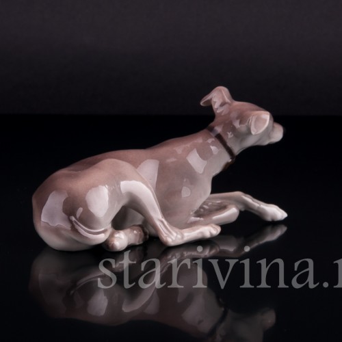 Левретка, Nymphenburg, Германия