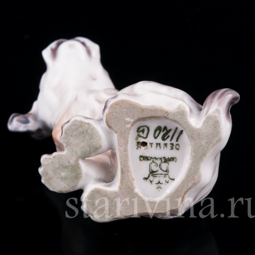 Мальтийский терьер (болонка), миниатюра, Dahl Jensen, Дания