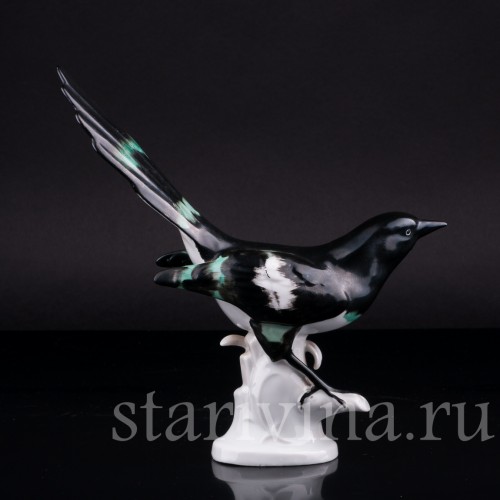 Сорока, Carl Scheidig, Германия