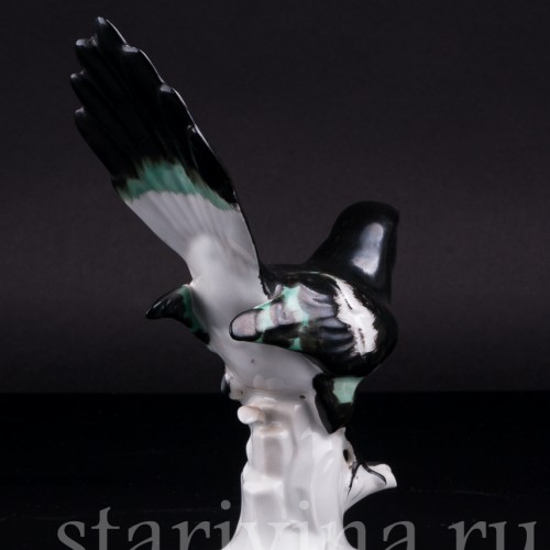 Сорока, Carl Scheidig, Германия