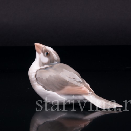 Зяблик, Bing & Grondahl, Дания