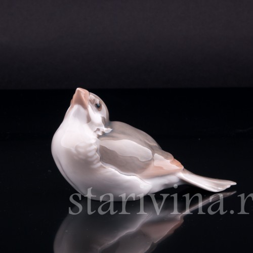 Зяблик, Bing & Grondahl, Дания