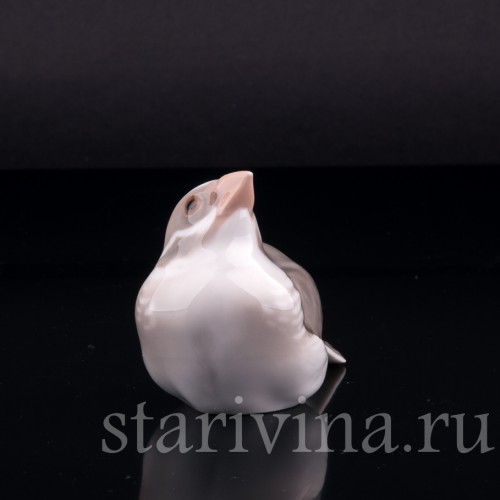 Зяблик, Bing & Grondahl, Дания