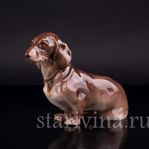 Такса, Nymphenburg, Германия