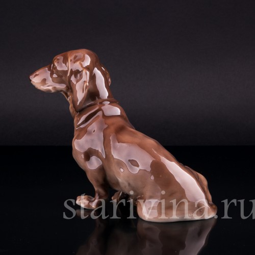 Такса, Nymphenburg, Германия